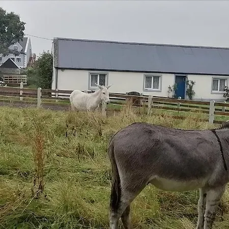 Apartamento Self Catering Upstairs At Tradcottage