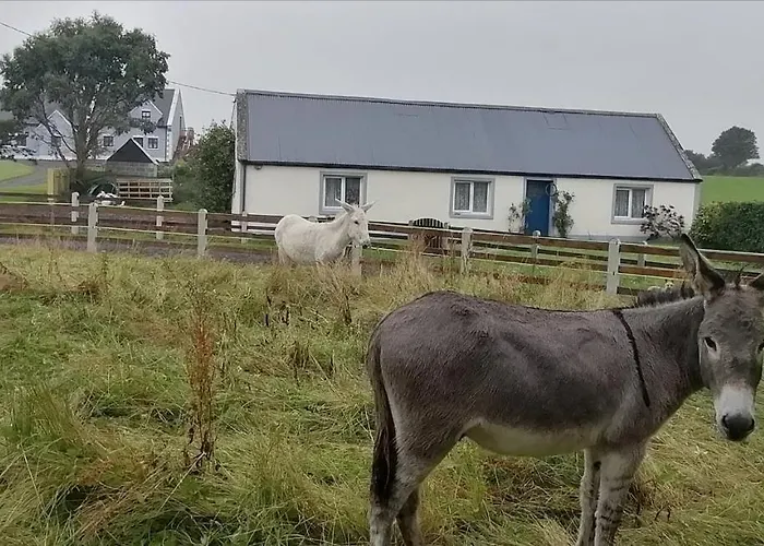 Apartmán Self Catering Upstairs At Tradcottage